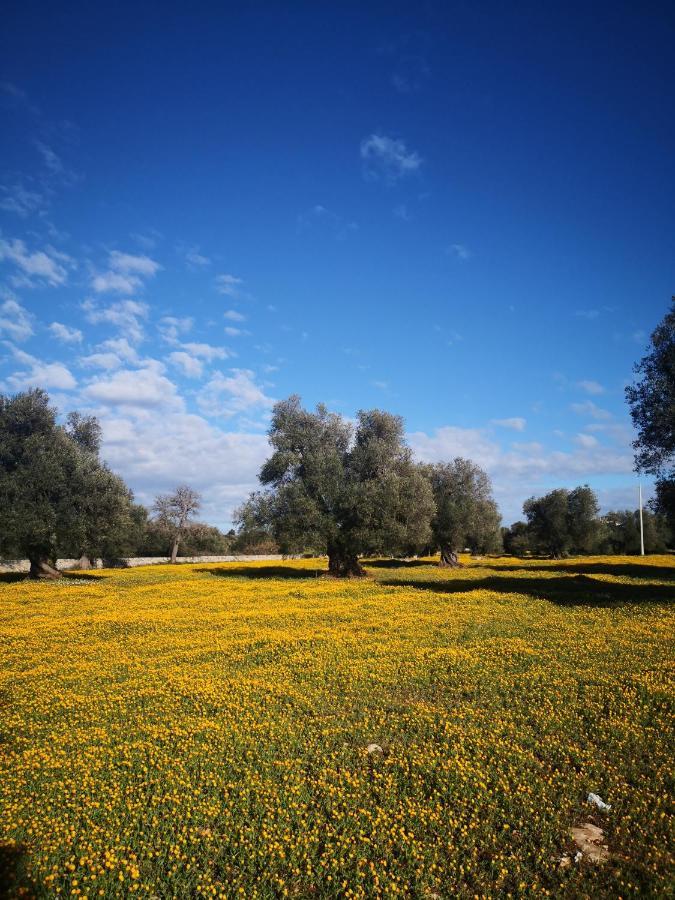 צ'לייה מספיקה Le Dimore Di Mama מראה חיצוני תמונה