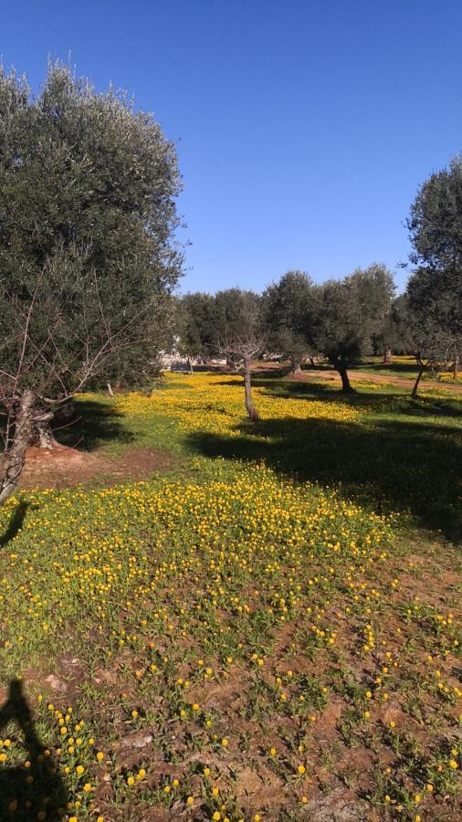 צ'לייה מספיקה Le Dimore Di Mama מראה חיצוני תמונה